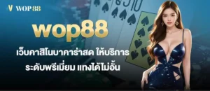 wop88 เว็บคาสิโนบาคาร่าสด ให้บริการระดับพรีเมี่ยม แทงได้ไม่อั้น